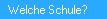  Welche Schule?