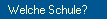  Welche Schule?